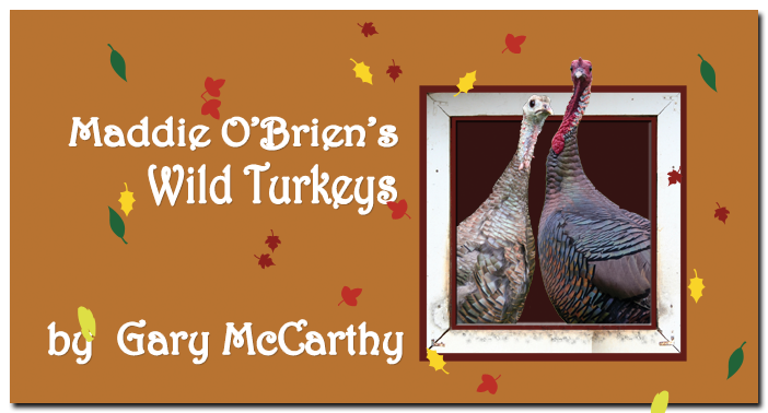 Maddie O'Brien's Wild Turkeys