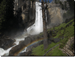 Yellowstone