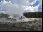 Yellowstone